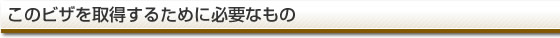 このビザを取得するために必要なもの